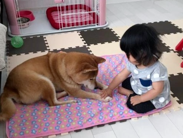 A17c9aaa61e80a1bf71d0d850af4e5baa9800bbd