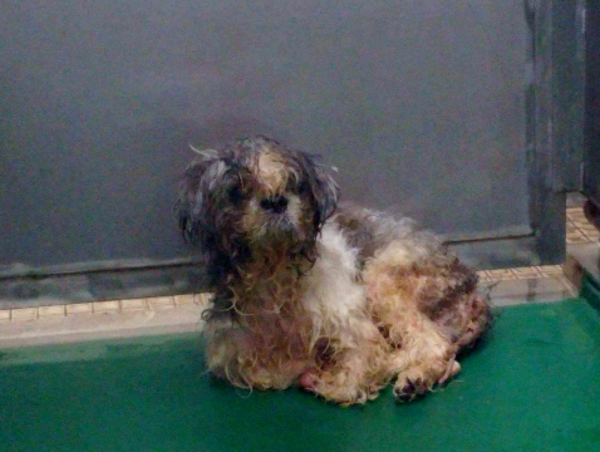 A17c9aaa61e80a1bf71d0d850af4e5baa9800bbd