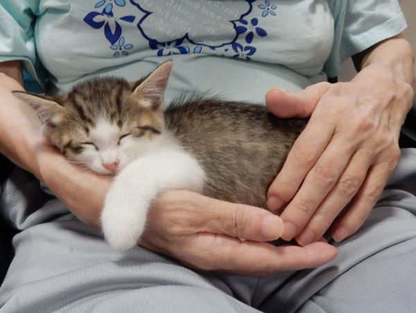 A17c9aaa61e80a1bf71d0d850af4e5baa9800bbd