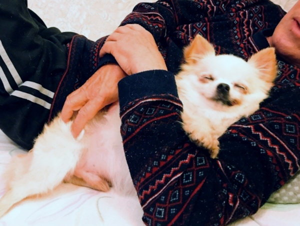 A17c9aaa61e80a1bf71d0d850af4e5baa9800bbd