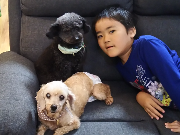 A17c9aaa61e80a1bf71d0d850af4e5baa9800bbd