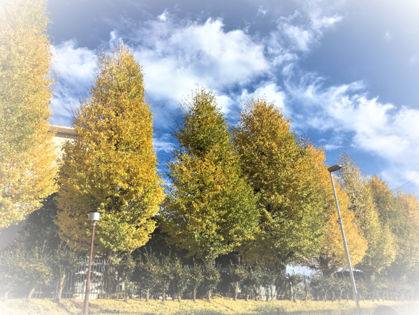 A17c9aaa61e80a1bf71d0d850af4e5baa9800bbd