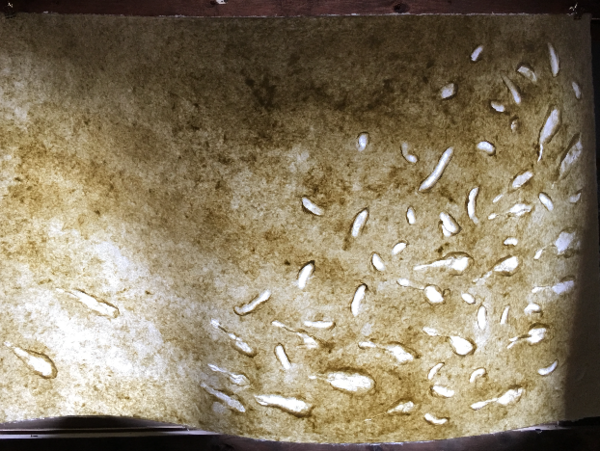 A17c9aaa61e80a1bf71d0d850af4e5baa9800bbd