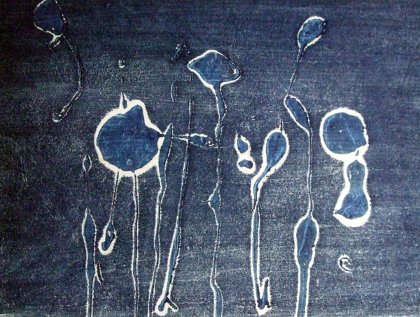 A17c9aaa61e80a1bf71d0d850af4e5baa9800bbd