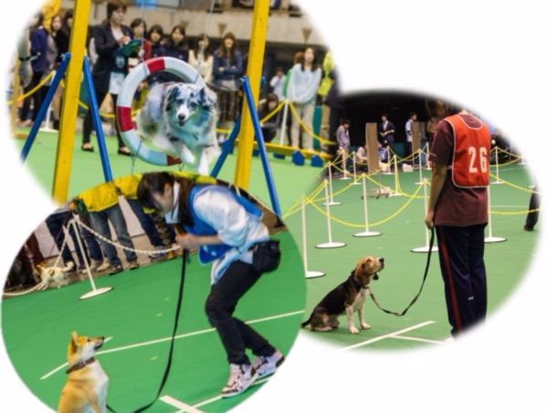 A17c9aaa61e80a1bf71d0d850af4e5baa9800bbd