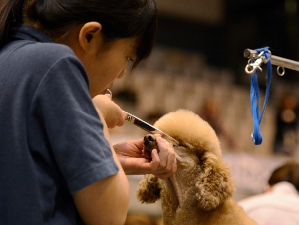 A17c9aaa61e80a1bf71d0d850af4e5baa9800bbd