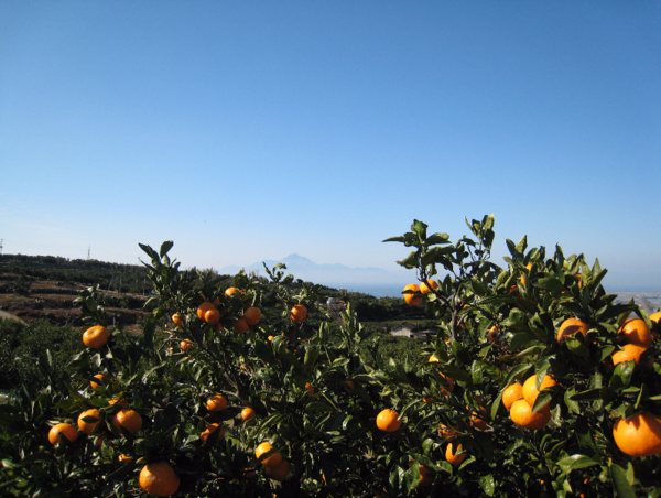 A17c9aaa61e80a1bf71d0d850af4e5baa9800bbd