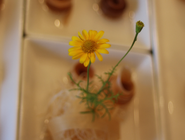 A17c9aaa61e80a1bf71d0d850af4e5baa9800bbd