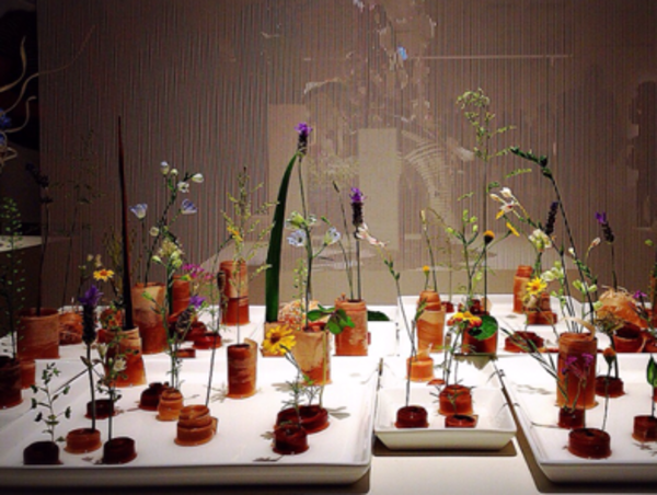 A17c9aaa61e80a1bf71d0d850af4e5baa9800bbd