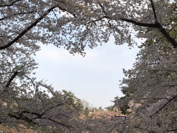 A17c9aaa61e80a1bf71d0d850af4e5baa9800bbd