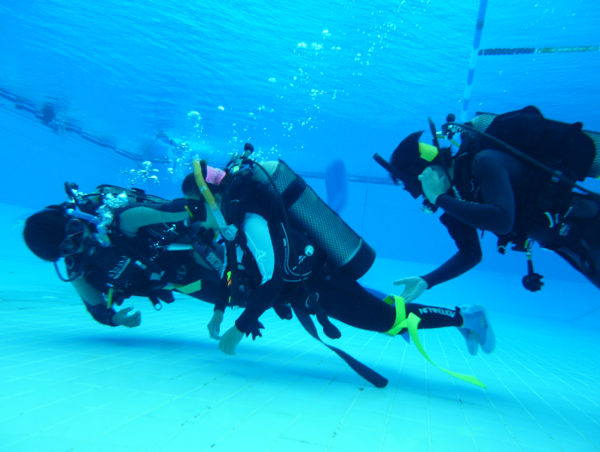 A17c9aaa61e80a1bf71d0d850af4e5baa9800bbd