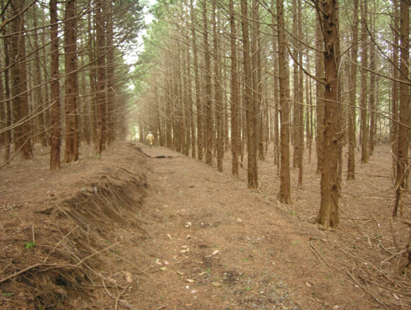 A17c9aaa61e80a1bf71d0d850af4e5baa9800bbd