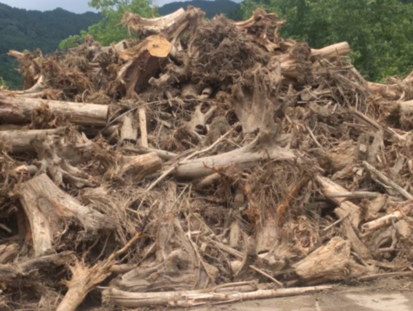 A17c9aaa61e80a1bf71d0d850af4e5baa9800bbd