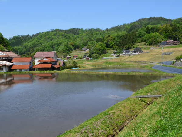 A17c9aaa61e80a1bf71d0d850af4e5baa9800bbd