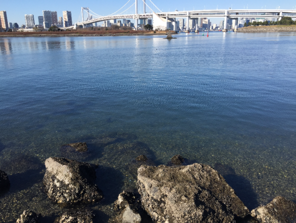 A17c9aaa61e80a1bf71d0d850af4e5baa9800bbd