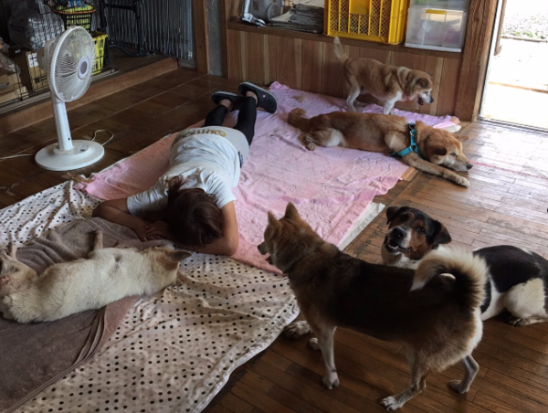 A17c9aaa61e80a1bf71d0d850af4e5baa9800bbd