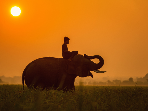 A17c9aaa61e80a1bf71d0d850af4e5baa9800bbd