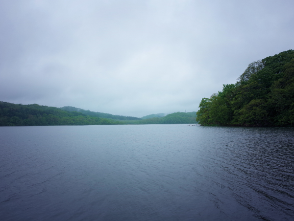 A17c9aaa61e80a1bf71d0d850af4e5baa9800bbd