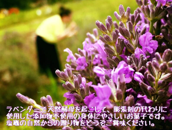 A17c9aaa61e80a1bf71d0d850af4e5baa9800bbd