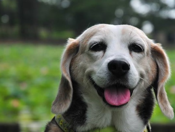 A17c9aaa61e80a1bf71d0d850af4e5baa9800bbd