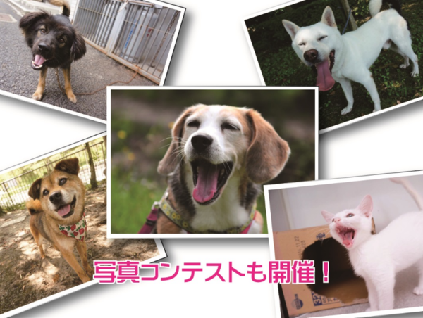 A17c9aaa61e80a1bf71d0d850af4e5baa9800bbd