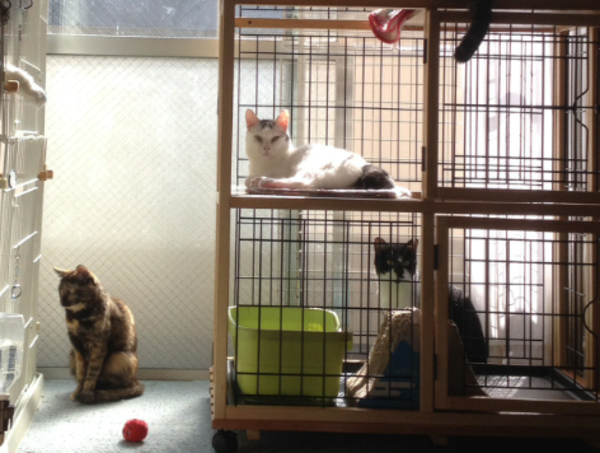 A17c9aaa61e80a1bf71d0d850af4e5baa9800bbd