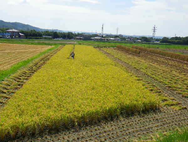 A17c9aaa61e80a1bf71d0d850af4e5baa9800bbd