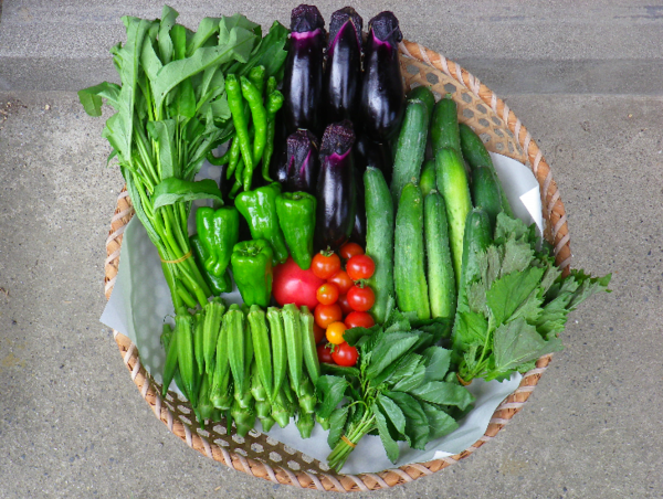 A17c9aaa61e80a1bf71d0d850af4e5baa9800bbd