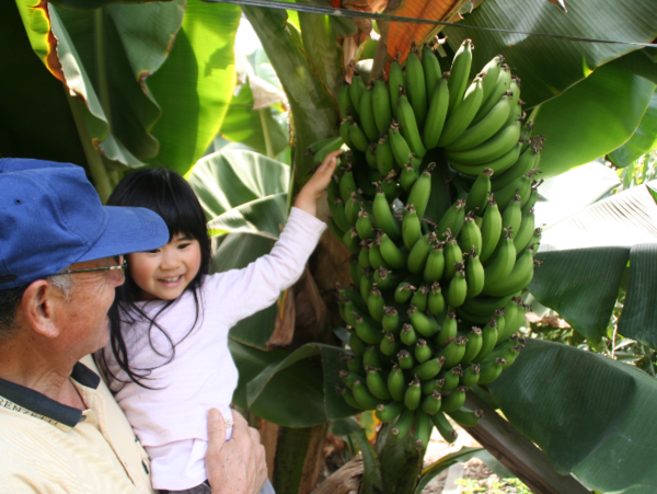 A17c9aaa61e80a1bf71d0d850af4e5baa9800bbd