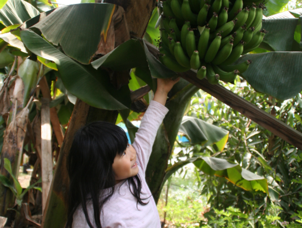 A17c9aaa61e80a1bf71d0d850af4e5baa9800bbd