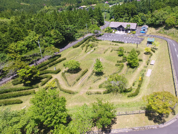 A17c9aaa61e80a1bf71d0d850af4e5baa9800bbd