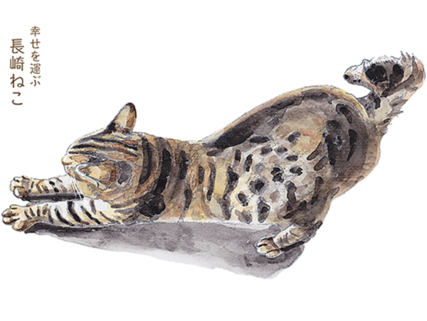 A17c9aaa61e80a1bf71d0d850af4e5baa9800bbd