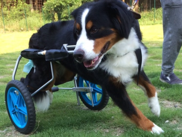 A17c9aaa61e80a1bf71d0d850af4e5baa9800bbd