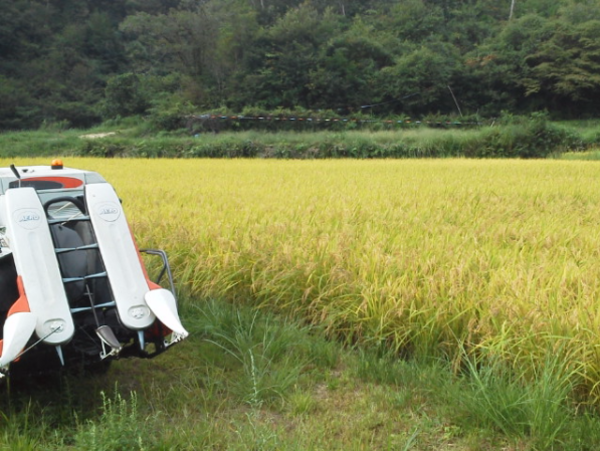 A17c9aaa61e80a1bf71d0d850af4e5baa9800bbd