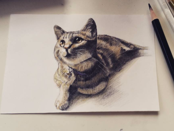 A17c9aaa61e80a1bf71d0d850af4e5baa9800bbd