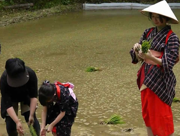 A17c9aaa61e80a1bf71d0d850af4e5baa9800bbd