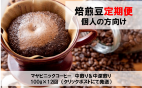 【定期便】＜個人利用者向け＞マヤビニックコーヒー　中煎り＆中深煎り　100g×12回（クリックポスト）