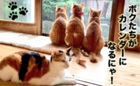 和猫かふぇカレンダー2020（1冊）