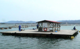 久美浜湾　筏釣りコース