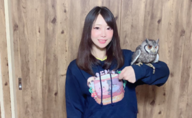 A17c9aaa61e80a1bf71d0d850af4e5baa9800bbd