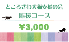 00匹の保護犬猫を譲渡してきた活動を継続させたい ところざわ犬猫の会 北村祥子 01 24 公開 クラウドファンディング Readyfor レディーフォー