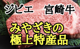 【宮崎のうまい！】肉セット