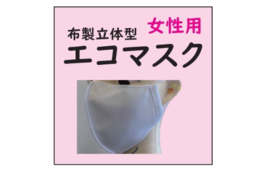 立体形状エコマスク（白）女性用2枚セット（4月お届け分）
