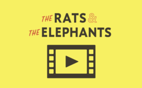 ＜C＞【『THE RATS AND THE ELEPHANTS』ライブ映像・ストリーミング＆ダウンロードパスコード】