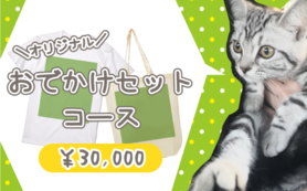 オリジナルおでかけセットコース：30,000円