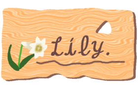 Lily【白】