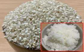 無肥料自然栽培玄米(白米)