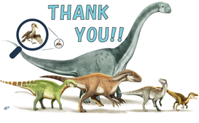 スポンサー一覧 福井バーチャル恐竜展 で 福井県の魅力を全世界に発信したい 今井拓哉 クラウドファンディング Readyfor