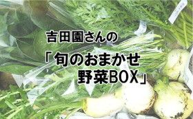 Ｂ-3　 渥美半島旬彩特産品　吉田園さんの「旬のおまかせ野菜BOX」  ※実際のお野菜は画像とは異なります
