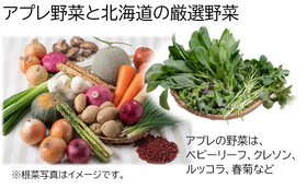 北海道野菜セットご進呈（月１度２０ヶ月間）